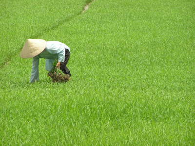 Route Vietnam 2017 - Dag 12