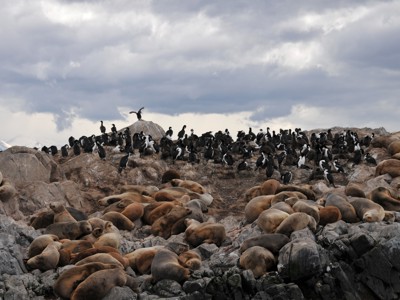 Standaard route Patagonië - Dag 18