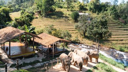 ChangChill, Thailand