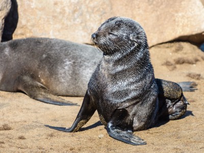 Route Namibië - 20-daagse reis - Dag 8