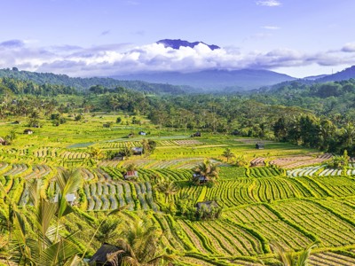 22-35 Indonesië: Java en Bali - Day 13