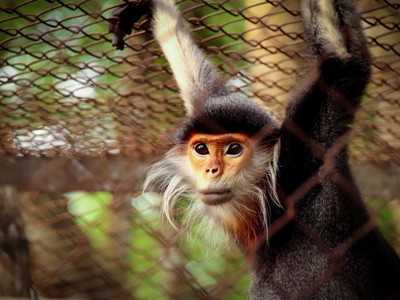 Route Vietnam, 23 dagen - Dag 6