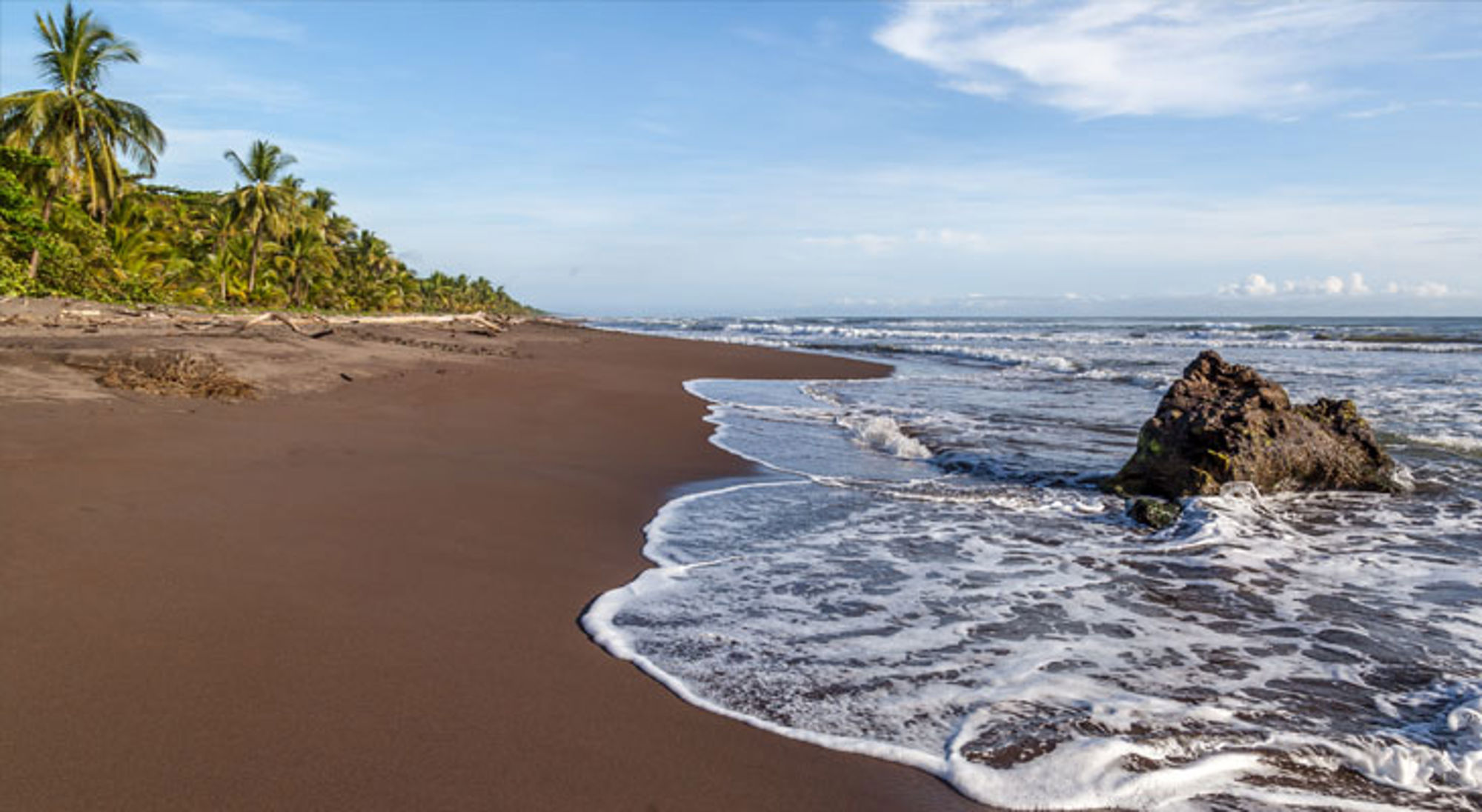 Tortuguero NP strand