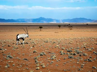 Route Namibië, 19 dagen - Dag 3