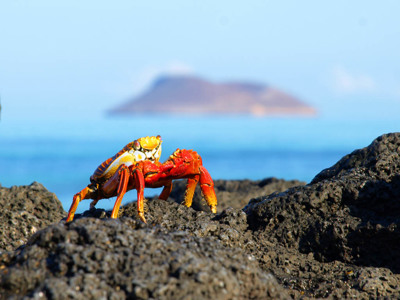 Galapagoseilanden - Day 3