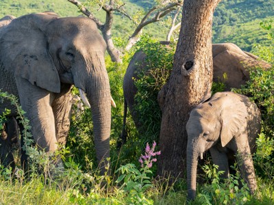 Route Zuid-Afrika - Dag 13
