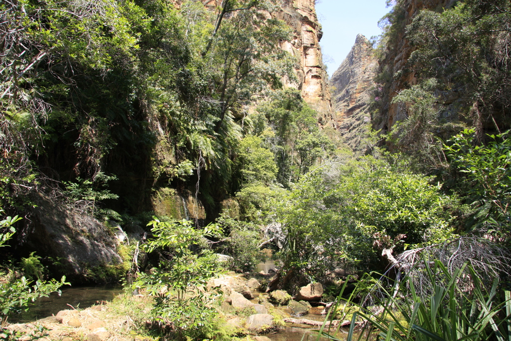 Madagaskar-Meike Klasing (42).jpg