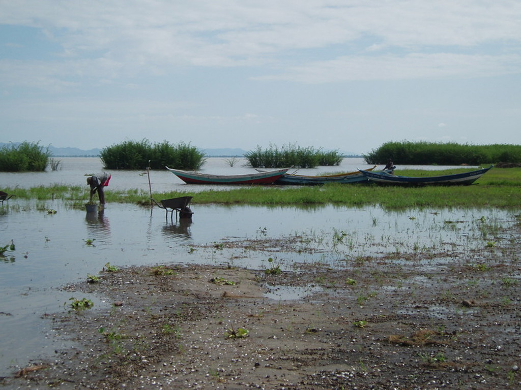 main_Tanzania_-_Lake_Victoria__9_.jfif