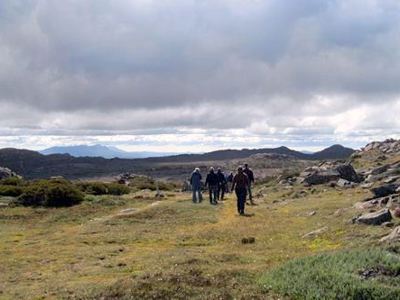 Wandelend door Tasmanië