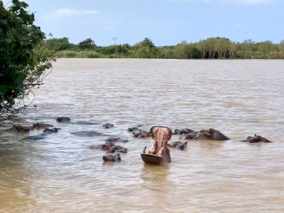 Route Zuid-Afrika, 20 dagen - Dag 11