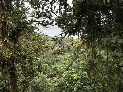 Route Costa Rica 2025 - Day 10