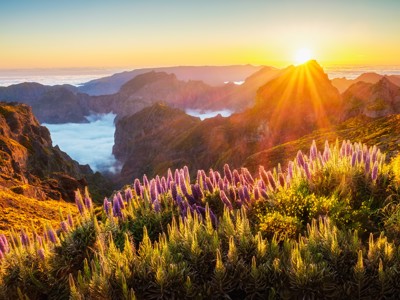 Route Madeira, Lissabon en Lagos, 12 dagen - Day 3