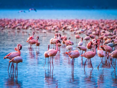 Route 22-35 Kenia & Tanzania, 20 dagen - Day 5