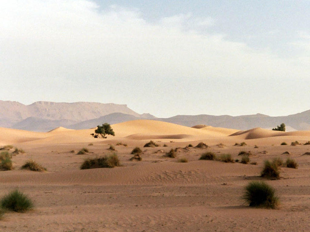 main_14_-_Erg_Chebbi_woestijn.jfif