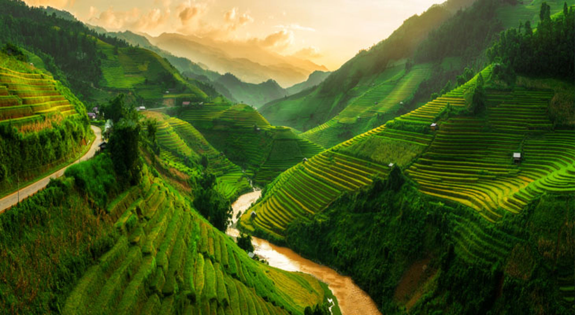 Mu Cang Chai Sapa