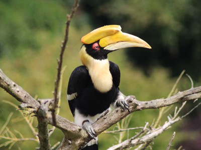 Route Maleisië, 18 dagen (2019) - Dag 11