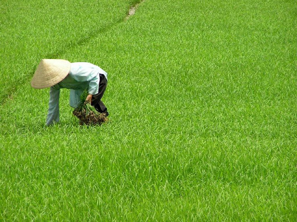 Groepsrondreis Vietnam