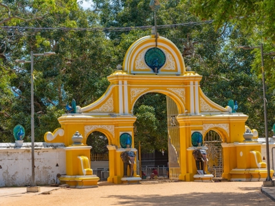 15-daagse Fietsreis Sri Lanka - Day 11