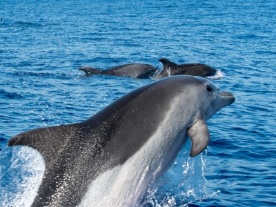 Route Madeira, Lissabon en Lagos, 12 dagen - Day 4