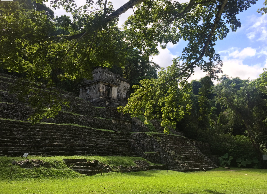 Palenque Joeri