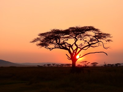 Route Zuid-Afrika, 17 dagen - Day 5