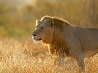 Route Kaapstad - Johannesburg, 17 dagen - Dag 14
