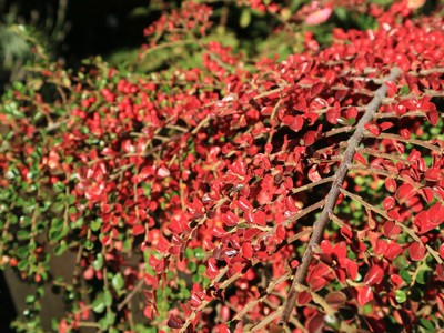 Route Argentinië - Day 4