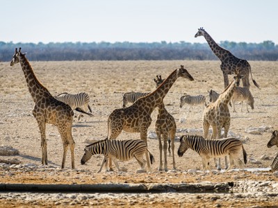 Route Namibië - 20-daagse reis - Dag 12
