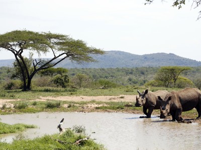 Route Kaapstad - Johannesburg - Dag 15