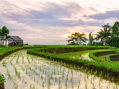 Route Java en Bali, 22 dagen - Day 17