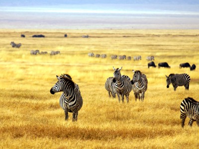 Route Kenia, Tanzania en Zanzibar, 21 dagen - Day 12