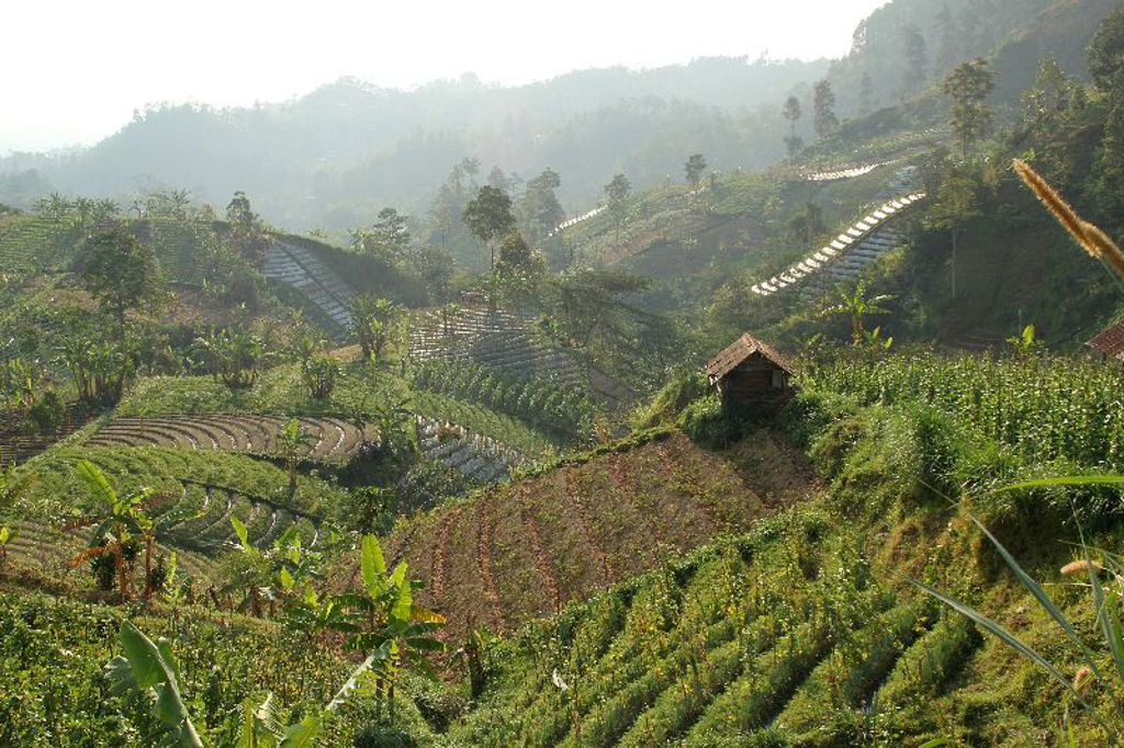 Tawamangu Indonesië