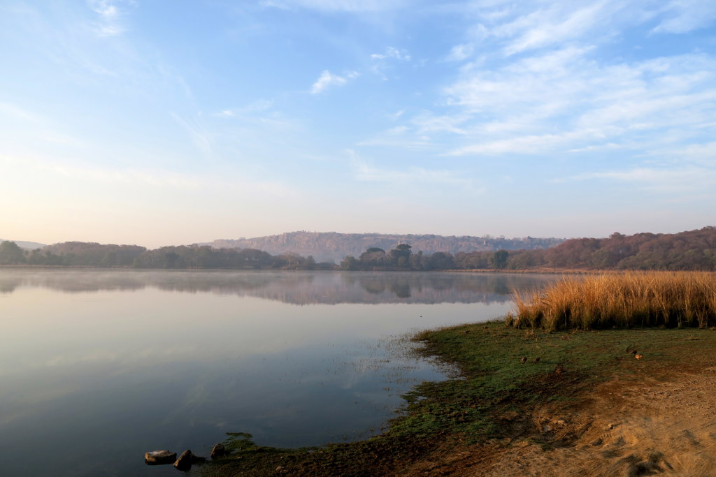 Ranthambore NP