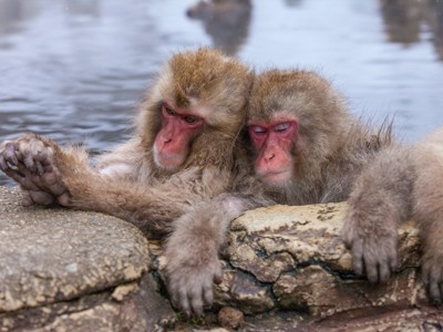 Route Japan, 20 dagen - Day 8