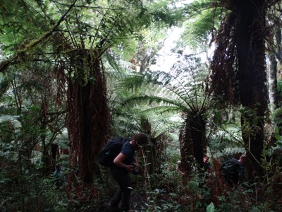 Route Bolivia en Chili, 21 dagen - Day 3