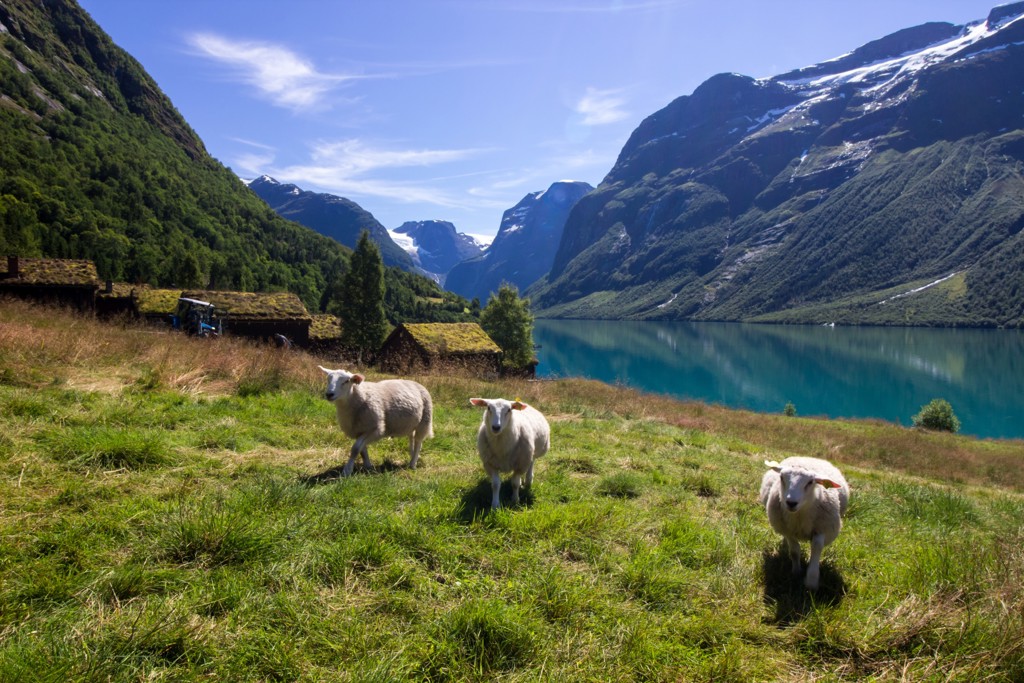 Groepsrondreis Noorwegen