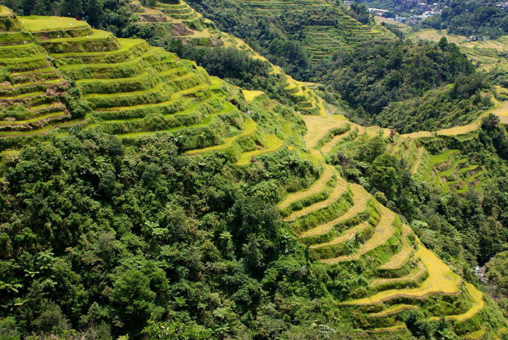 main_Banaue_rijstterrassen.jpg