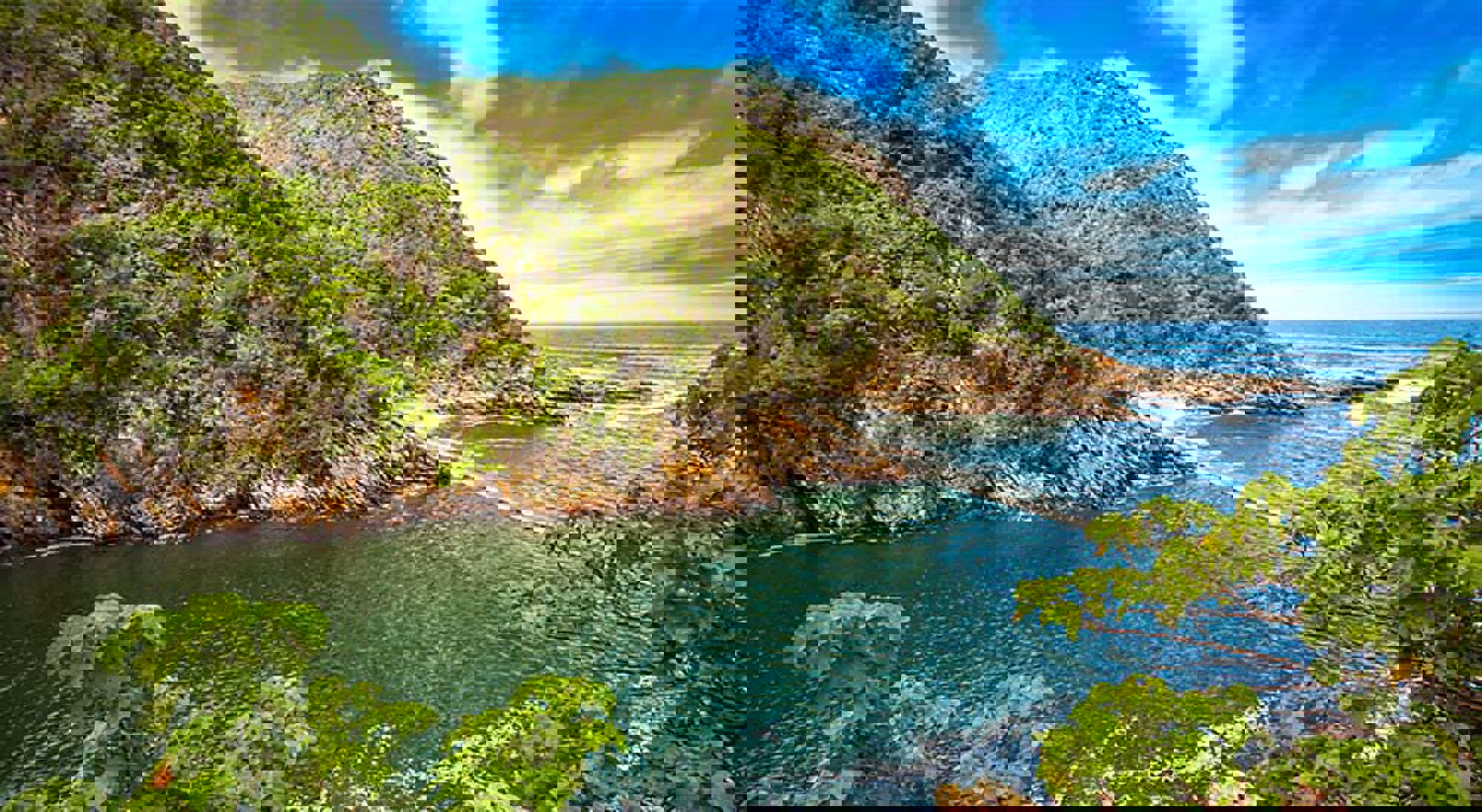 Brug bij de Garden Route