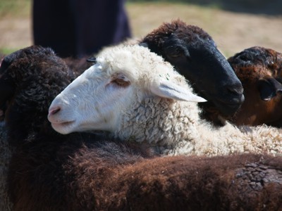 Route Korte Zijderoute - Dag 19