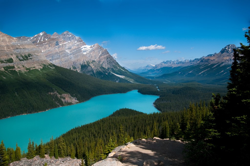 Rondreis Canada Peyto Lake