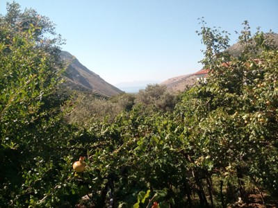 Route Albanië - Day 7