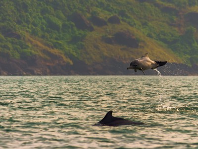 India 22-35, 20 dagen - Day 17